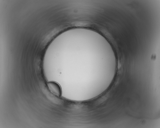X0000113960201200910232036
