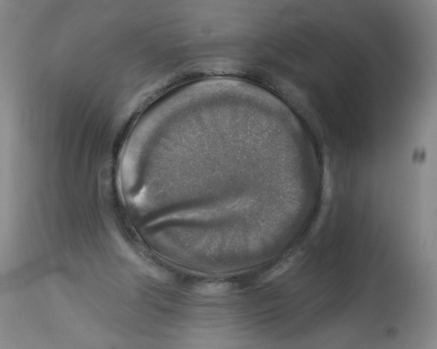 X0000113960202200910232036