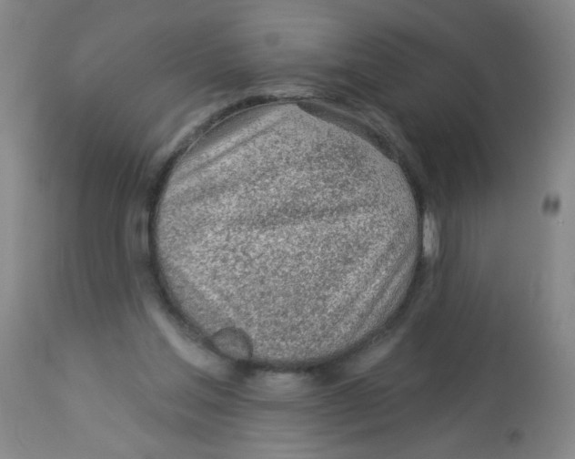 X0000113960205200910232036
