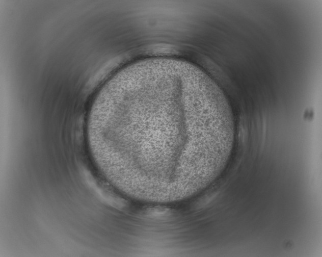X0000113960206200910232036