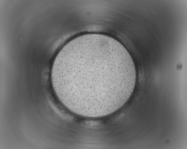 X0000113960208200910232036