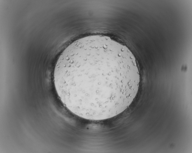 X0000113960211200910232036