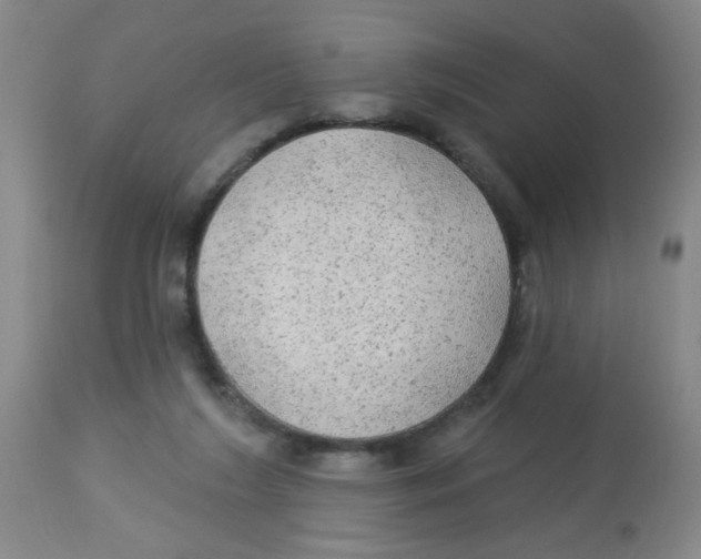 X0000113960212200910232036