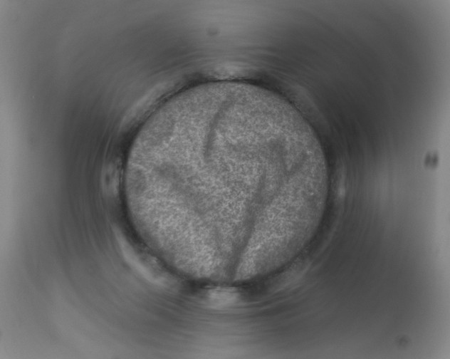 X0000113960214200910232036