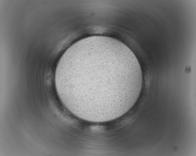 X0000113960216200910232036