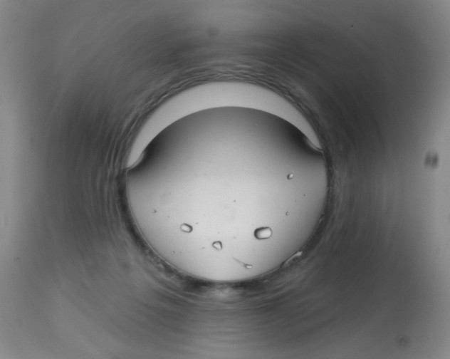 X0000113960217200910232036