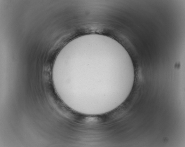 X0000113960218200910232036