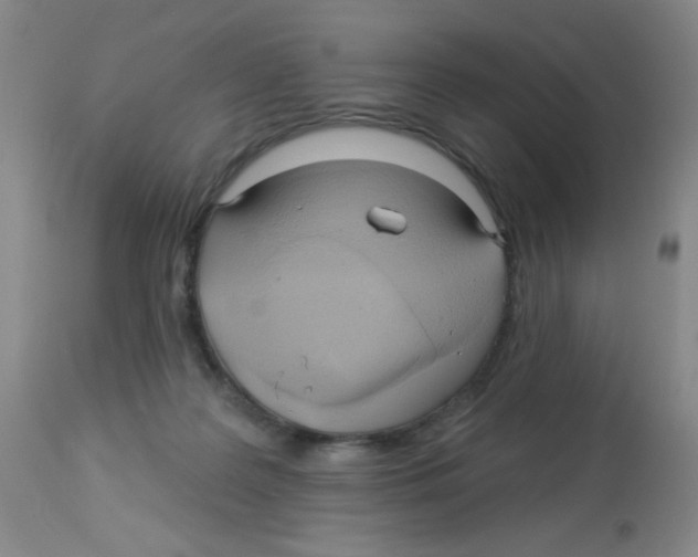X0000113960219200910232036