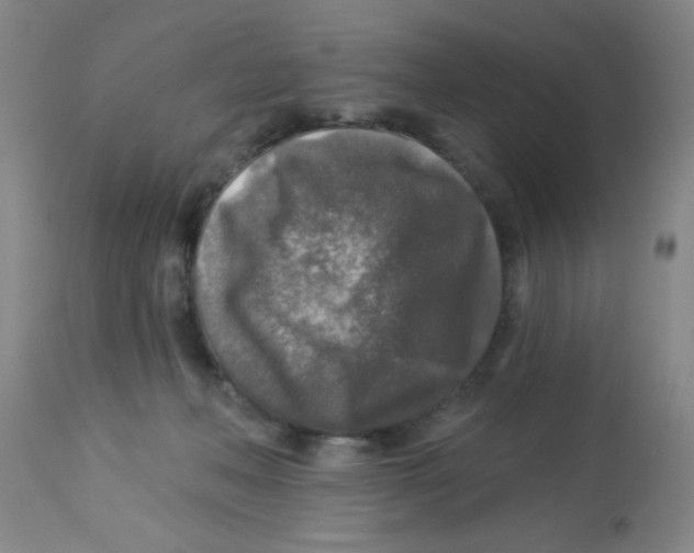 X0000113960222200910232036