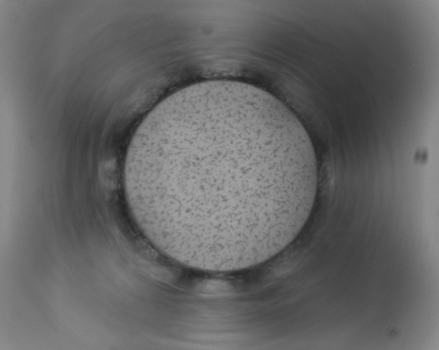 X0000113960224200910232036