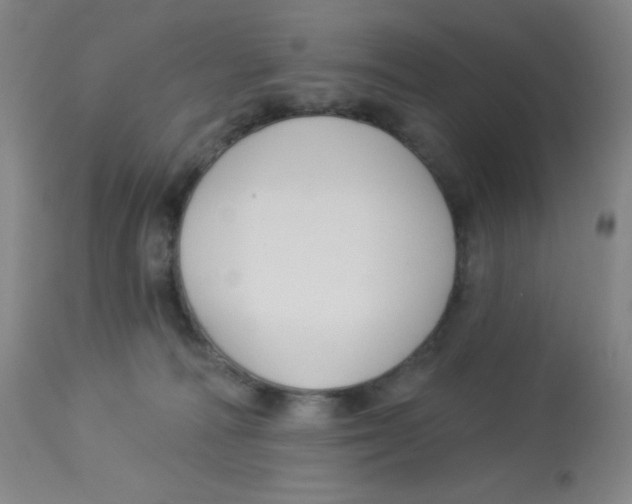 X0000113960226200910232036