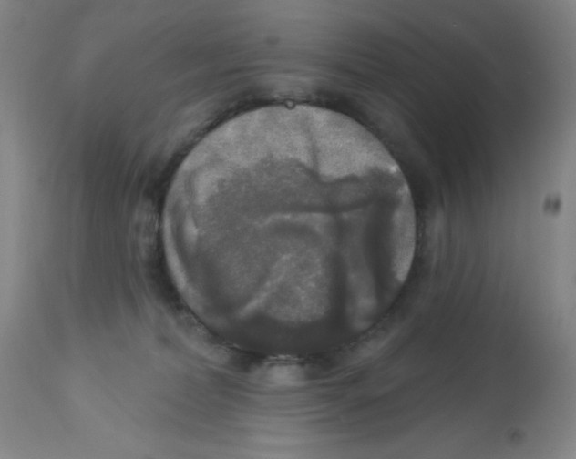 X0000113960228200910232036