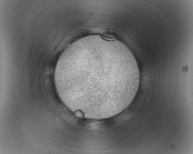 X0000113960229200910232036