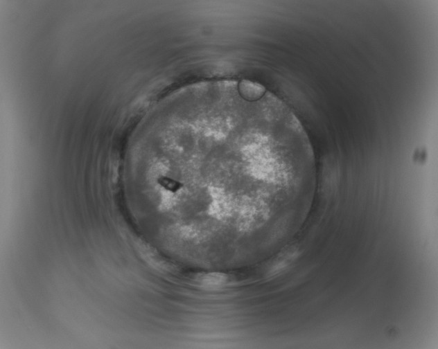 X0000113960230200910232036