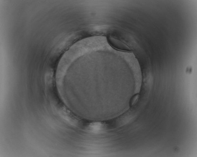 X0000113960231200910232036