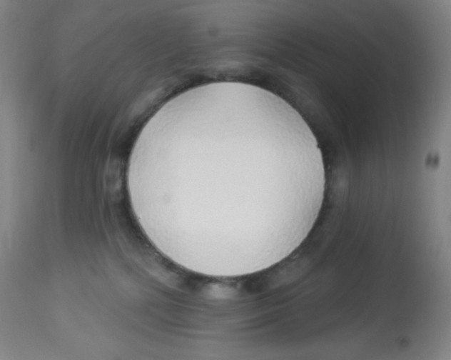 X0000113960232200910232036