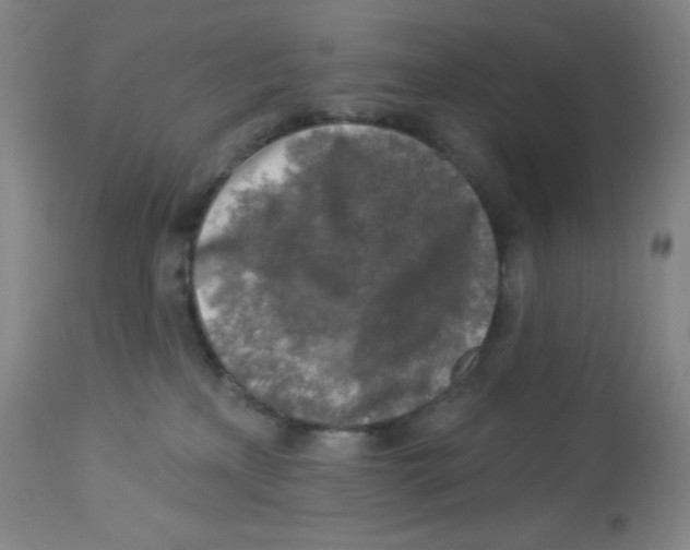 X0000113960233200910232036