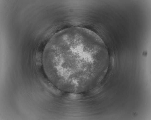 X0000113960234200910232036