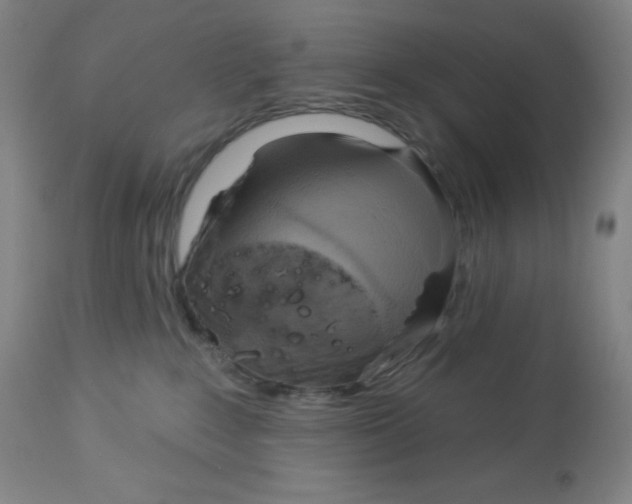 X0000113960235200910232036