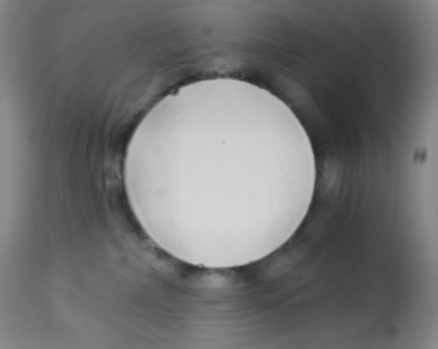 X0000113960236200910232036