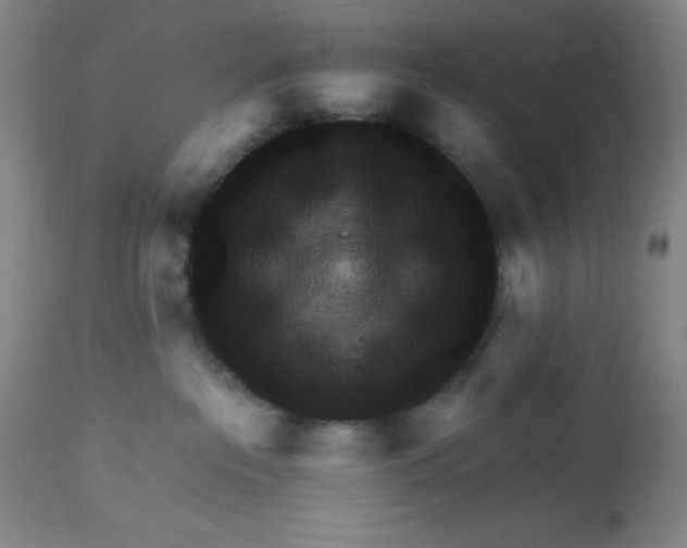 X0000113960237200910232036
