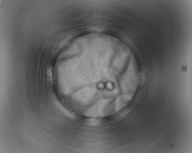 X0000113960238200910232036