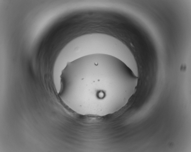 X0000113960239200910232036