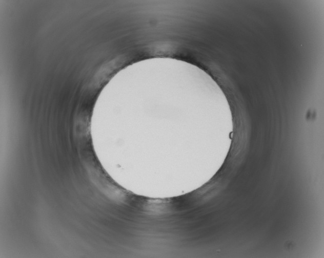 X0000113960240200910232036