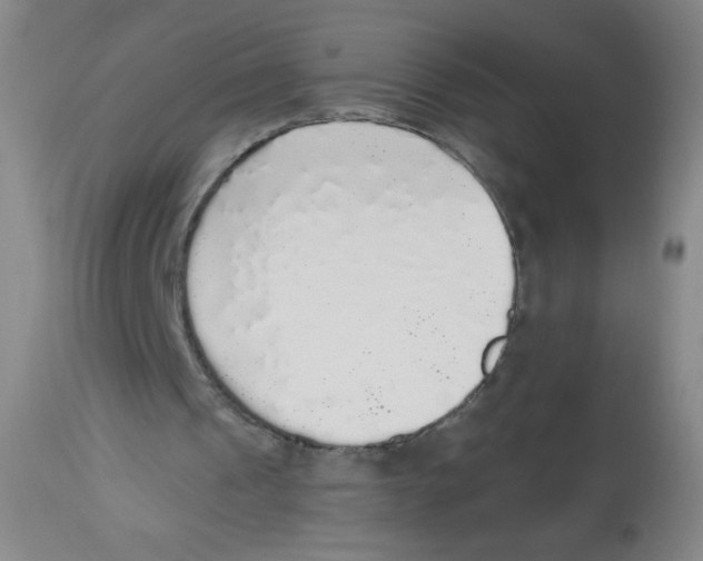 X0000113960241200910232035