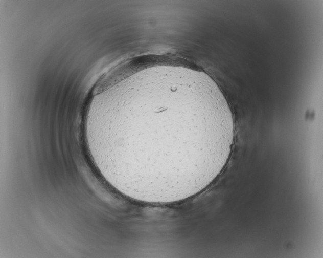 X0000113960242200910232035