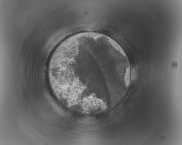 X0000113960243200910232035