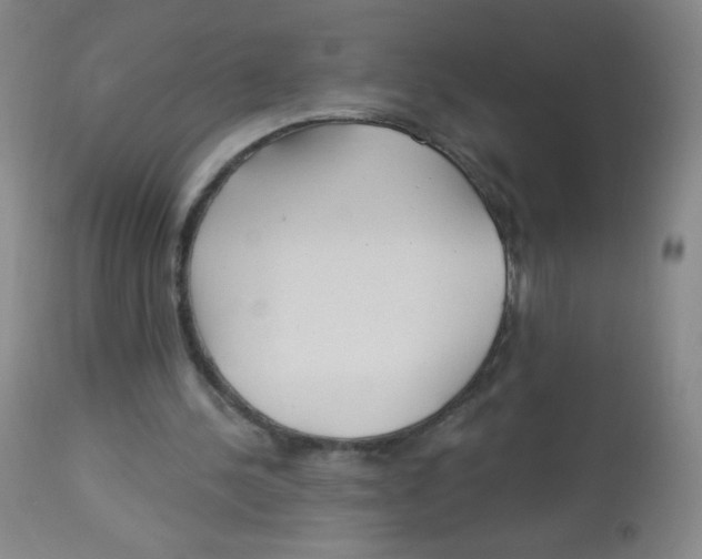 X0000113960244200910232035