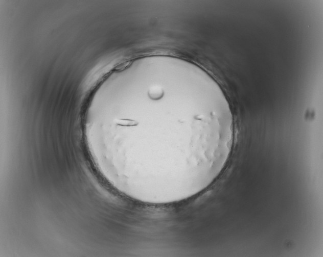X0000113960245200910232035