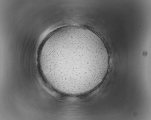 X0000113960246200910232035