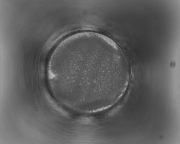 X0000113960247200910232035
