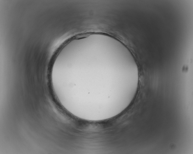 X0000113960248200910232035