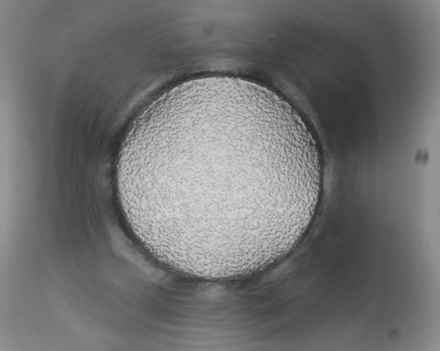 X0000113960249200910232035