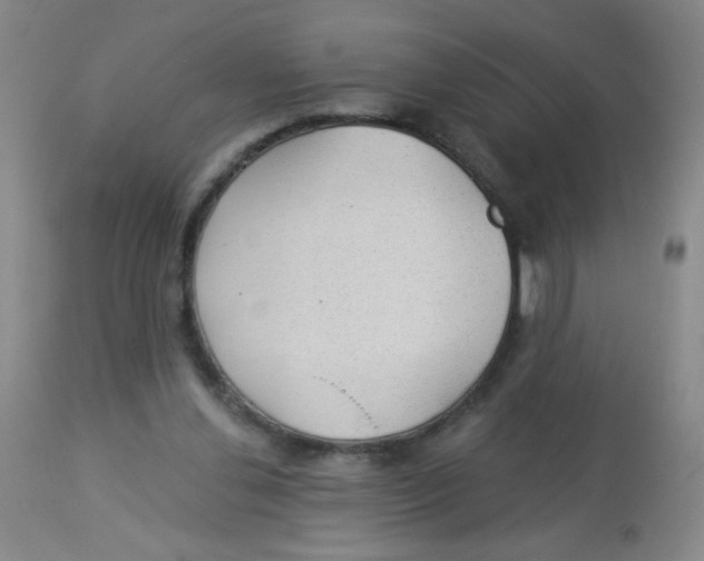 X0000113960252200910232035
