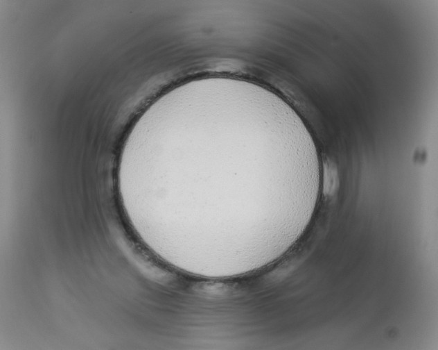 X0000113960253200910232035