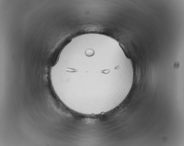 X0000113960255200910232035