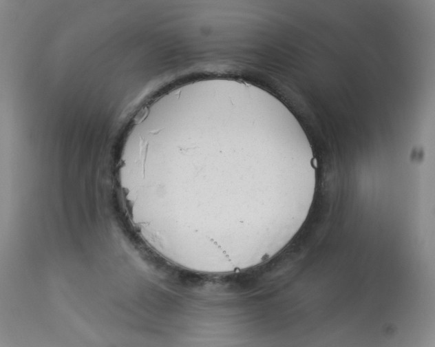 X0000113960256200910232035