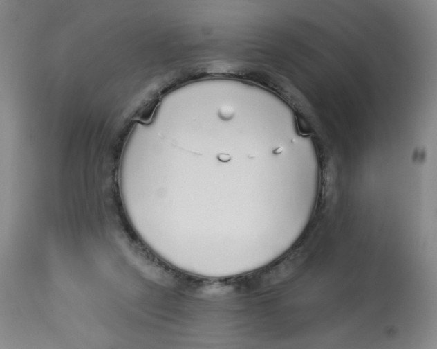 X0000113960257200910232035