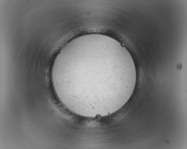 X0000113960258200910232035