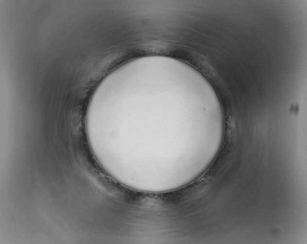 X0000113960259200910232035