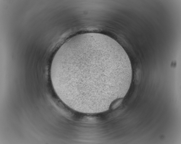 X0000113960260200910232035