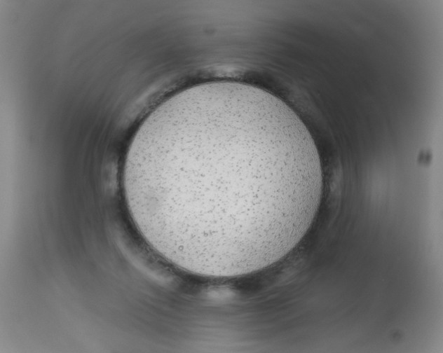 X0000113960262200910232035