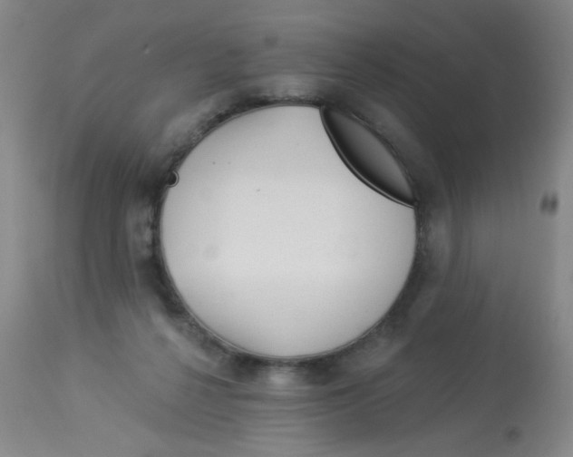 X0000113960264200910232035