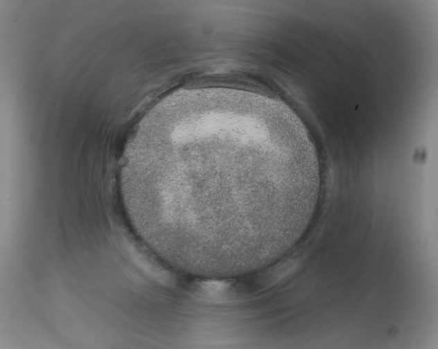 X0000113960265200910232035
