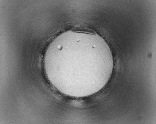 X0000113960266200910232035