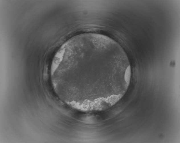 X0000113960267200910232035